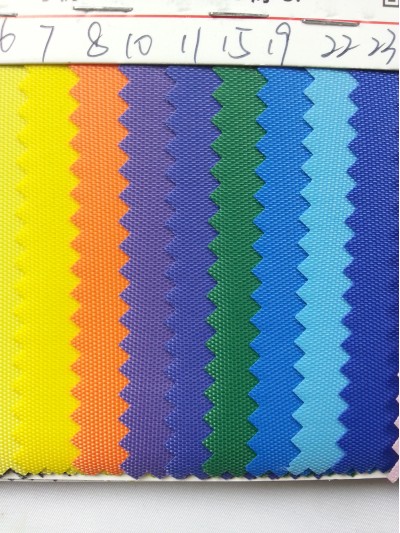 DG-BICG BC-4202 尼龍  背囊面料 後面照